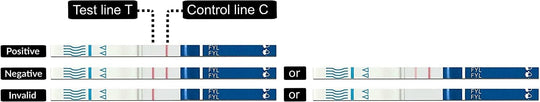 Rapid Response™ Fentanyl Test Strip Kit, 5 Per Box, 25 Boxes Per Case